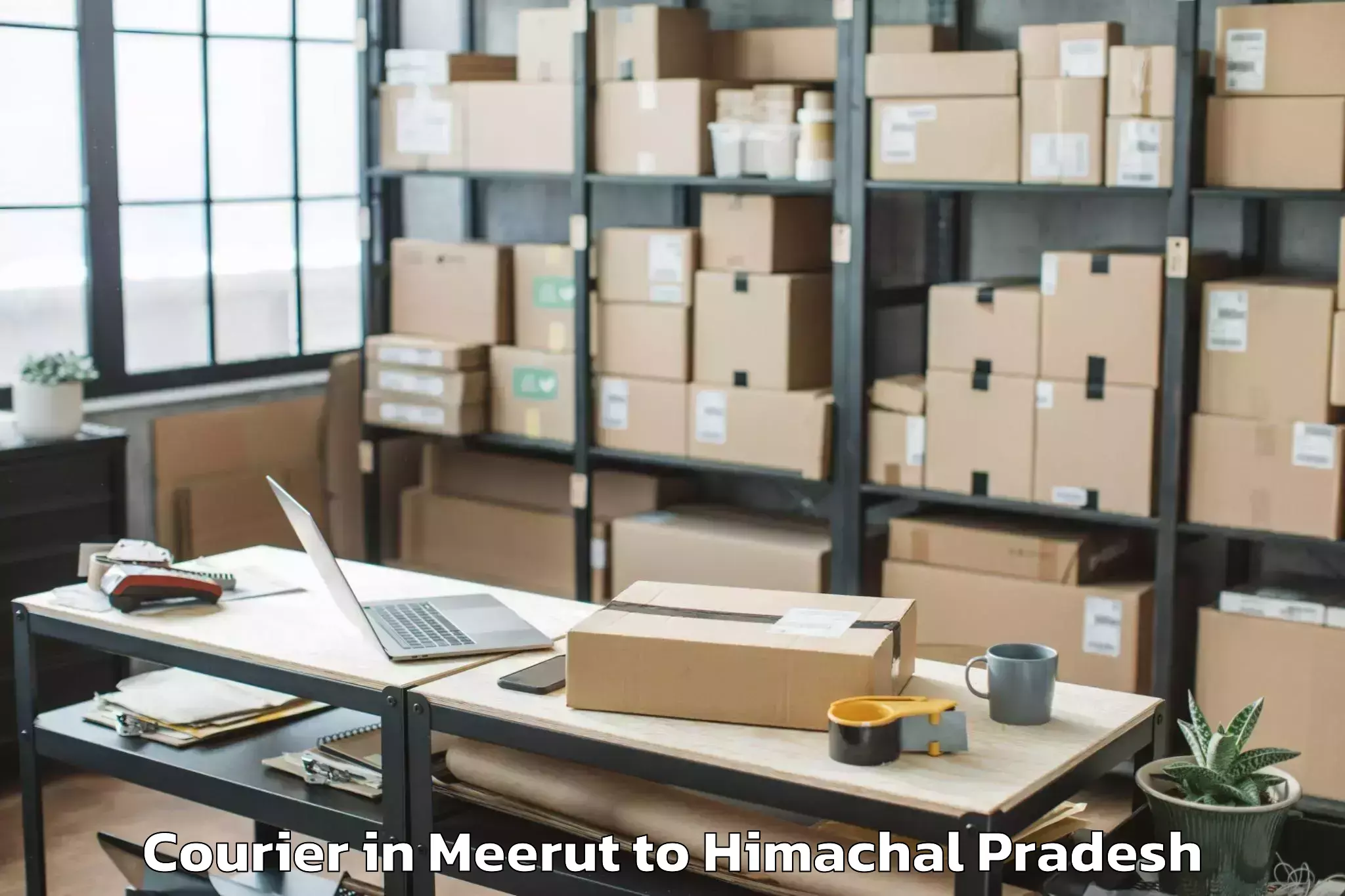 Easy Meerut to Daruhi Courier Booking